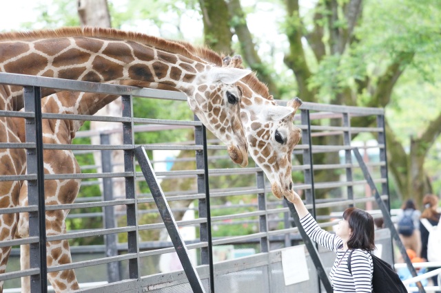 宇都宮動物園_1