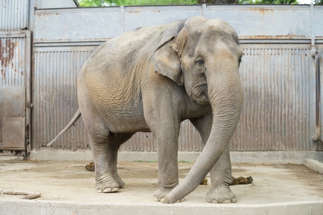 宇都宮動物園_2