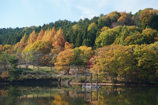 森林公園の紅葉_1