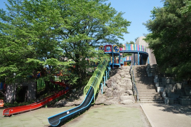 八幡山公園_2