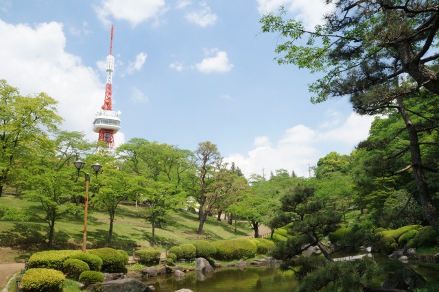 八幡山公園_6