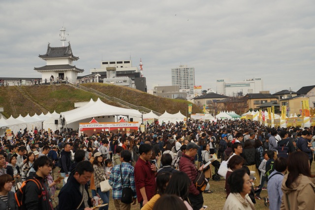 宇都宮餃子祭り_2