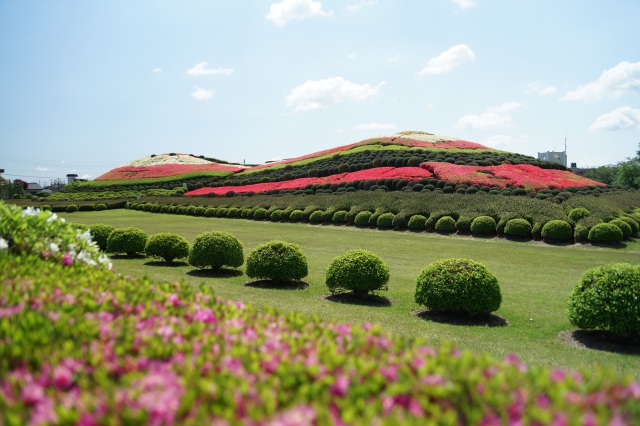 塚山公園のつつじ_2