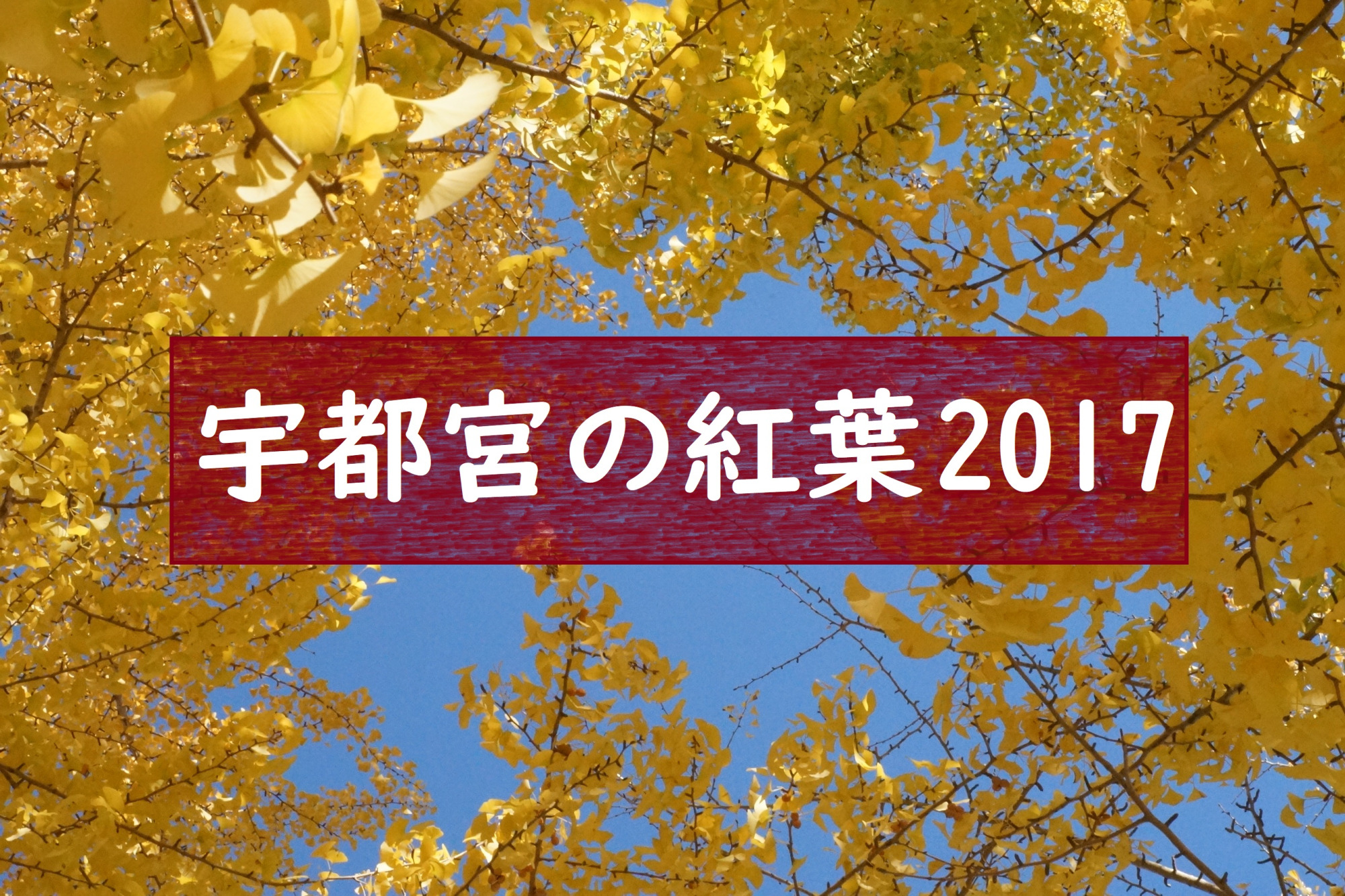 2017年宇都宮の紅葉スポット4選♪