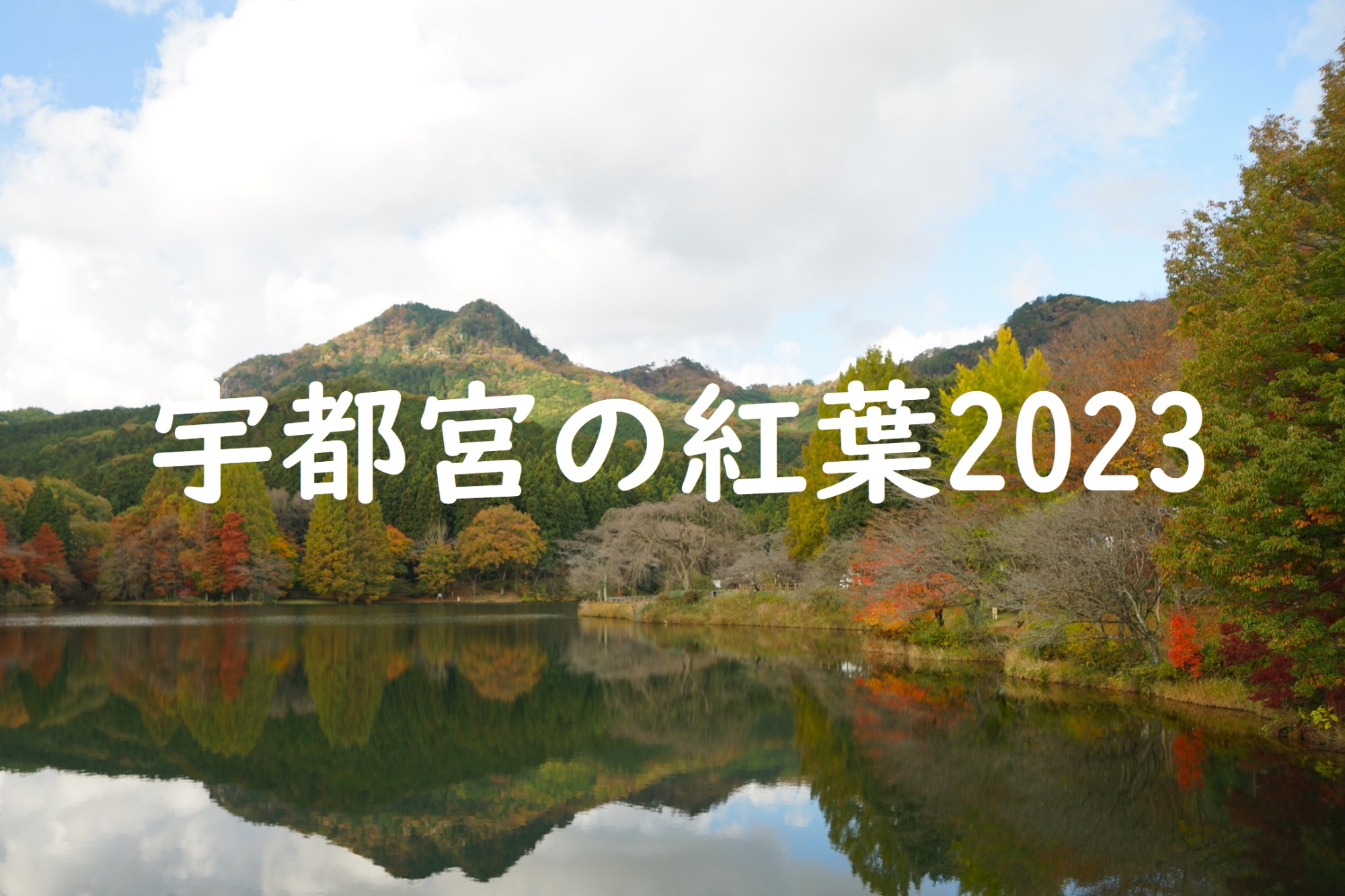 2023年宇都宮の紅葉スポット4選♪