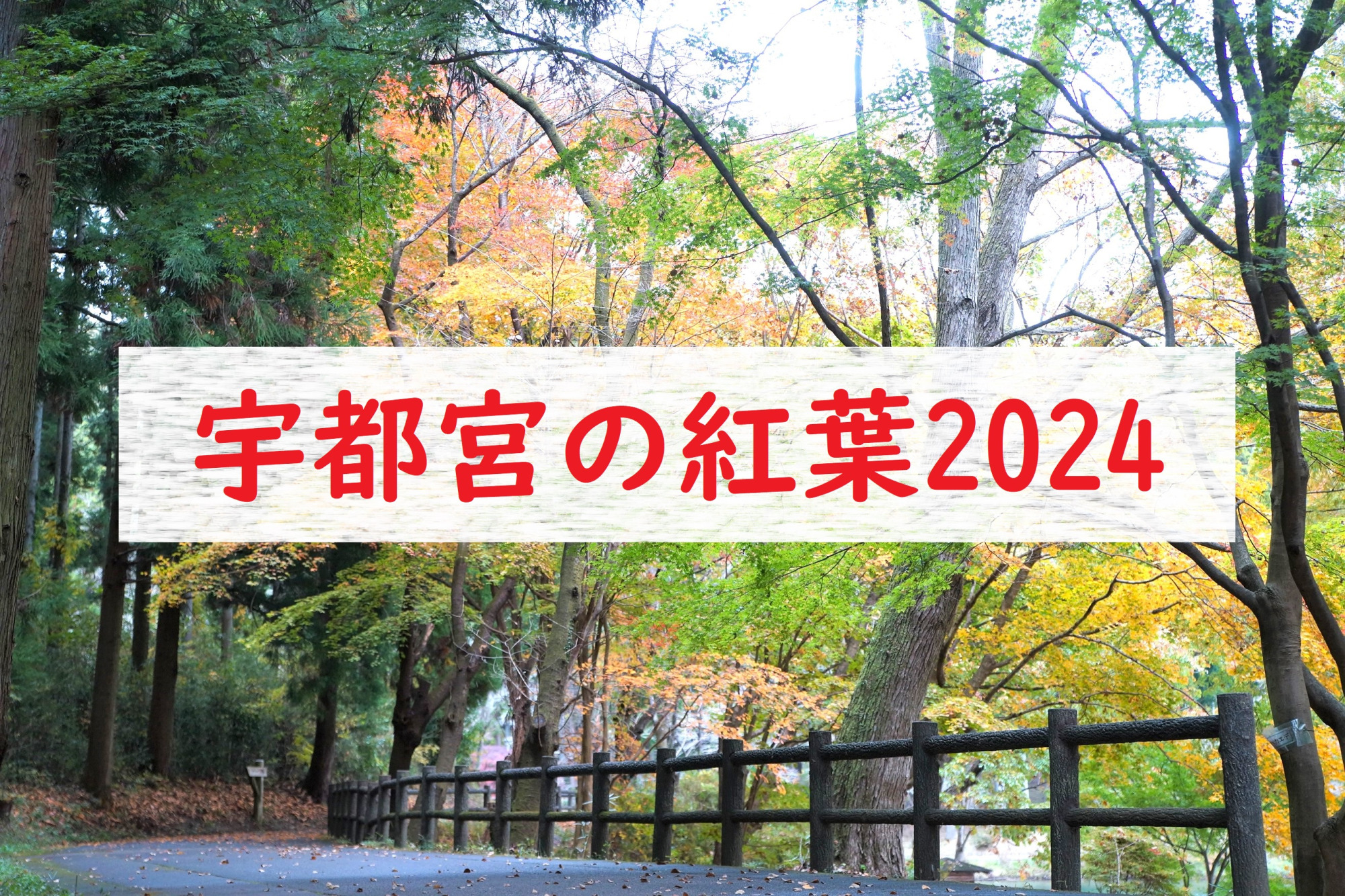 2024年宇都宮の紅葉スポット4選♪