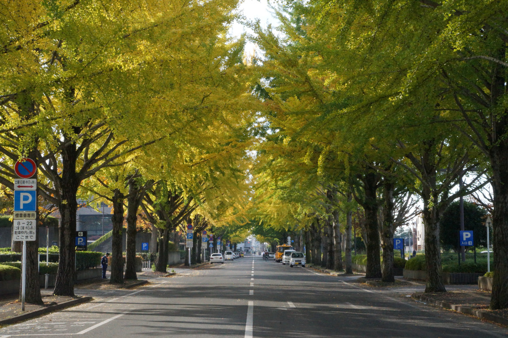 2017年11月2日（木）