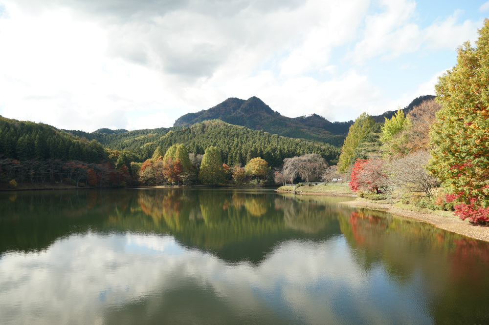 2018年11月10日（土）