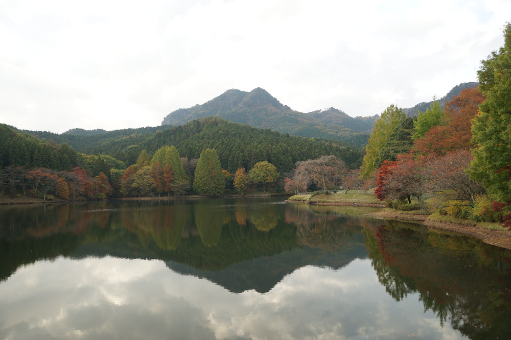 2018年11月5日（月）