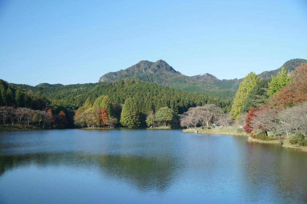 2019年11月9日（土）