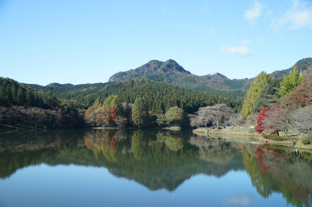 2019年11月12日（火）