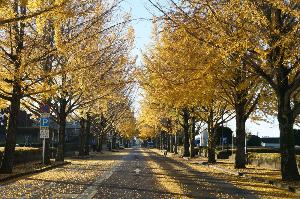 2019年12月3日（火）