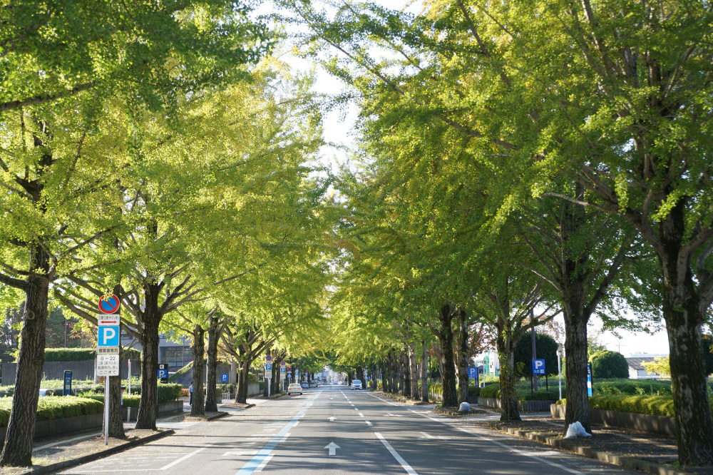 2019年11月2日（土）