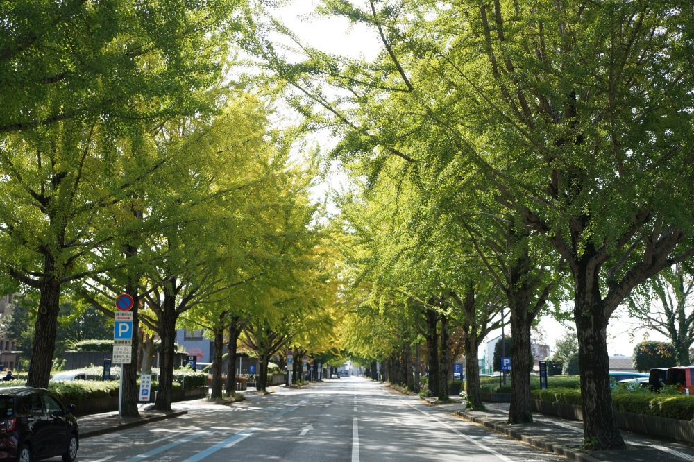 2020年10月27日（火）