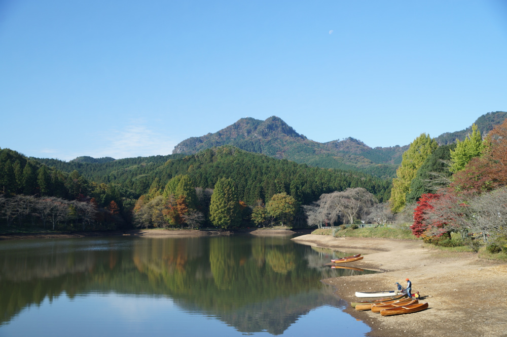 2019年11月6日（金）