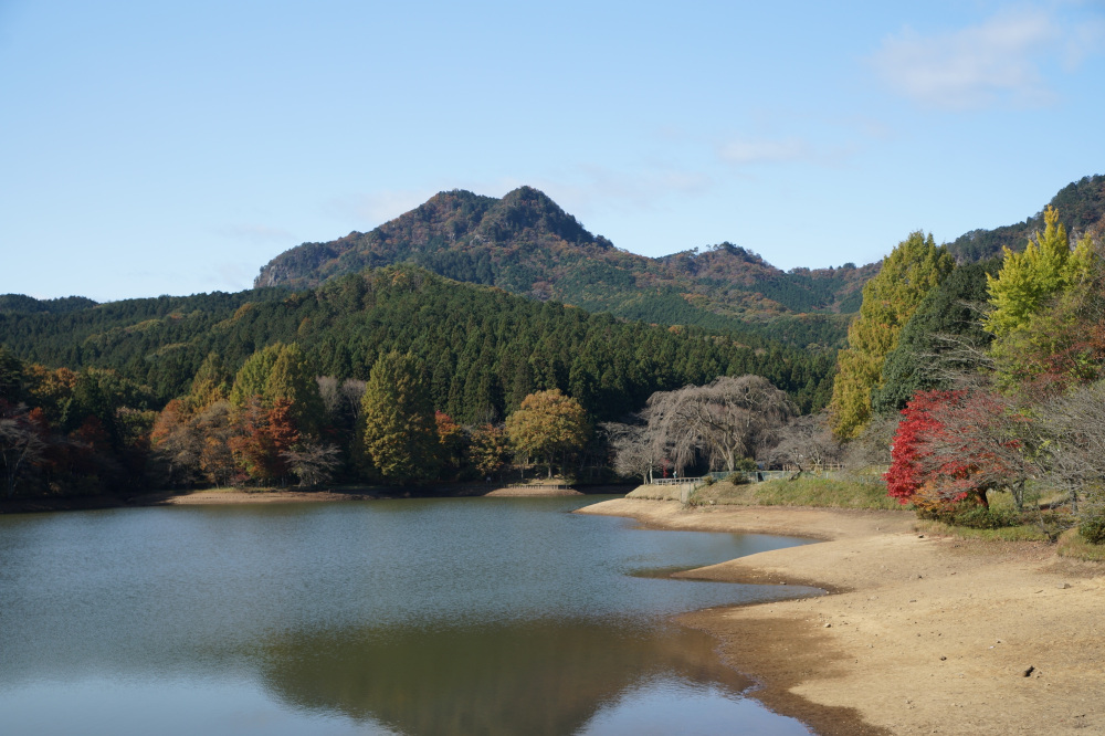 2019年11月11日（水）