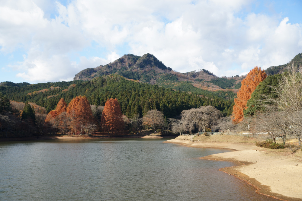 2019年11月28日（土）