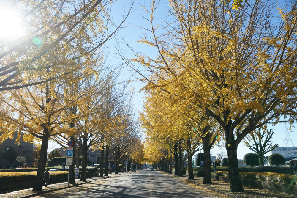 2021年11月27日（土）