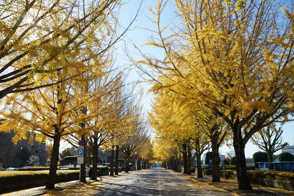 2021年11月25日（木）