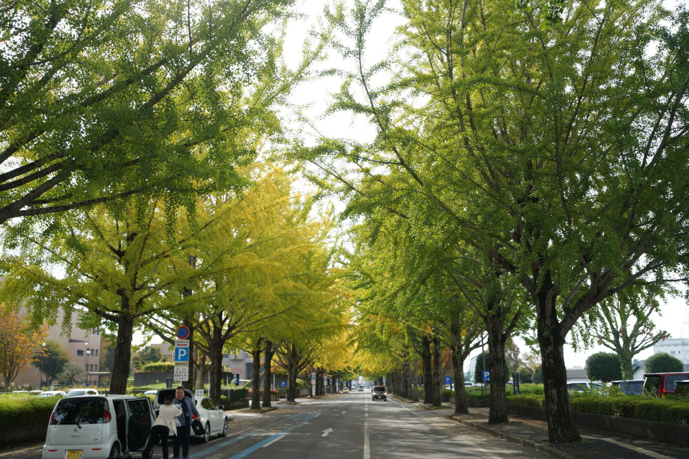 2021年11月2日（火）