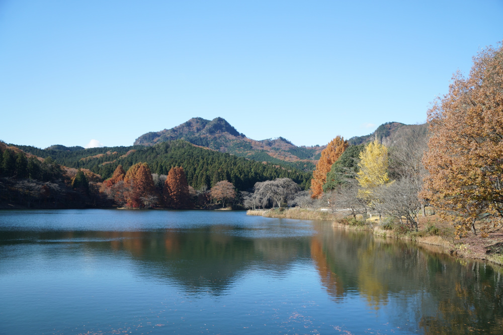 2021年11月25日（木）