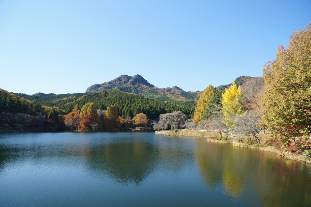 2021年11月17日（水）