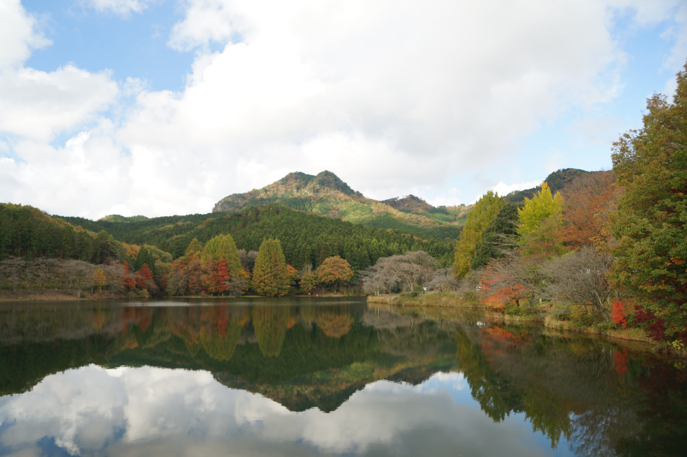 2021年11月10日（水）