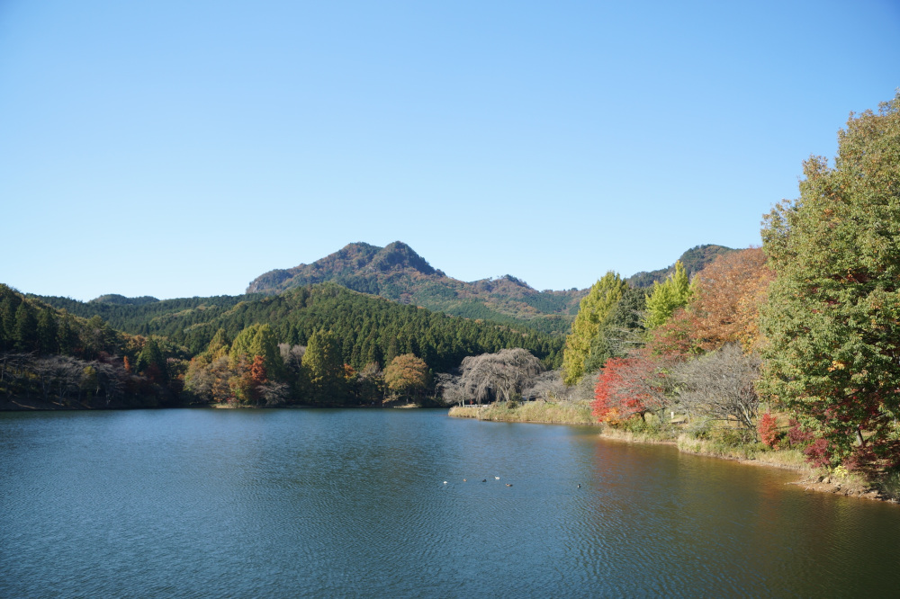 2021年11月6日（土）