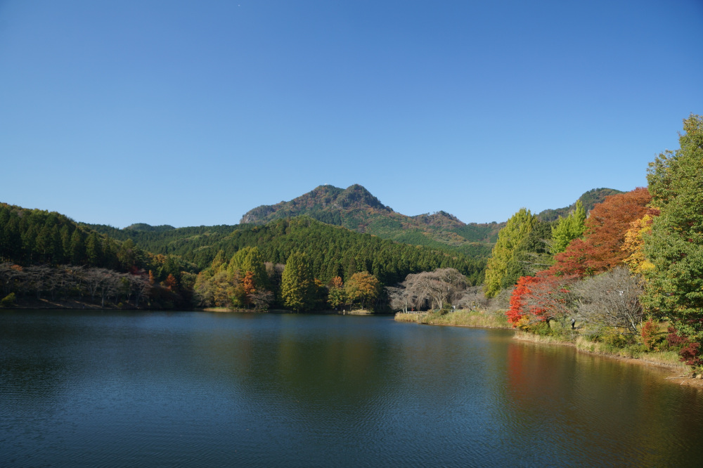 2021年11月3日（水）