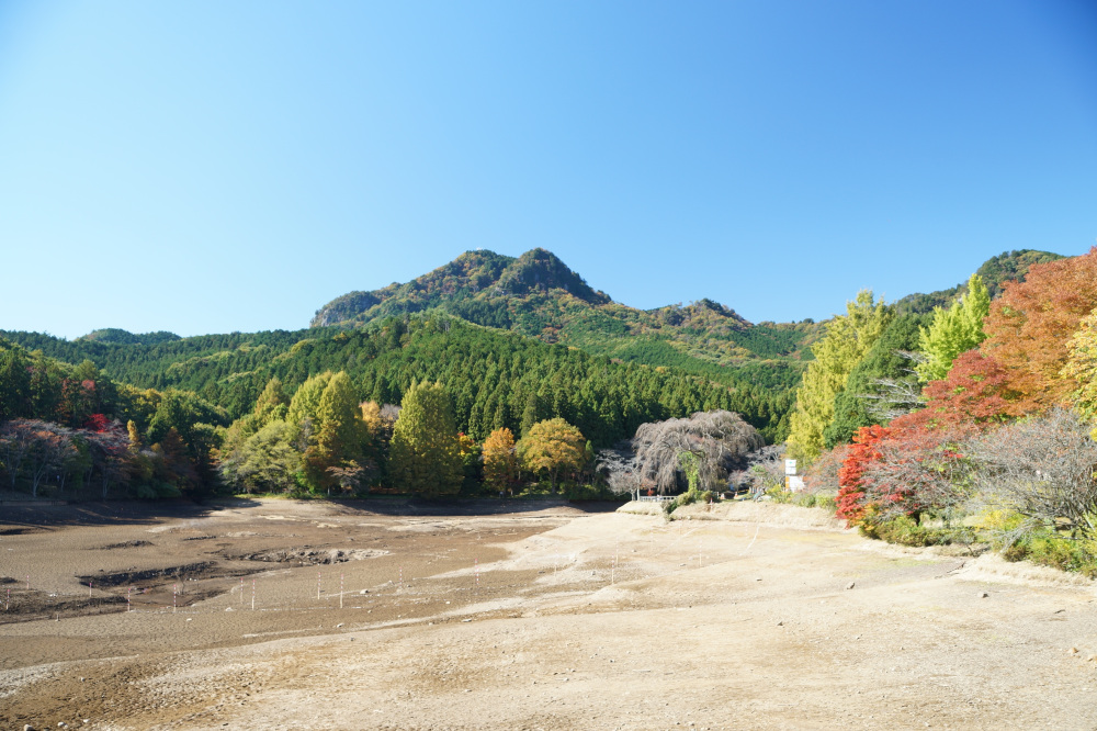 2022年11月2日（水）