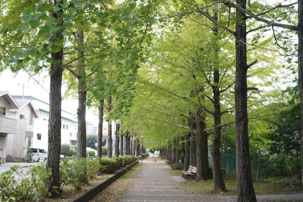 2024年10月22日（火）