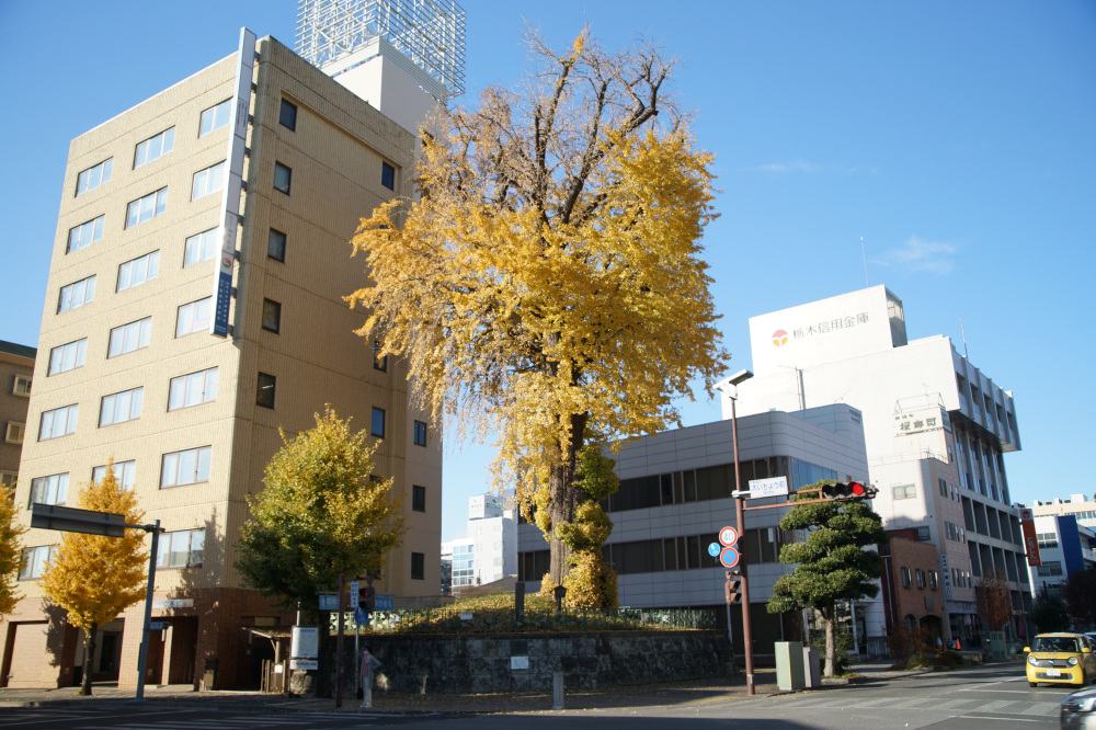 2024年12月4日（水）