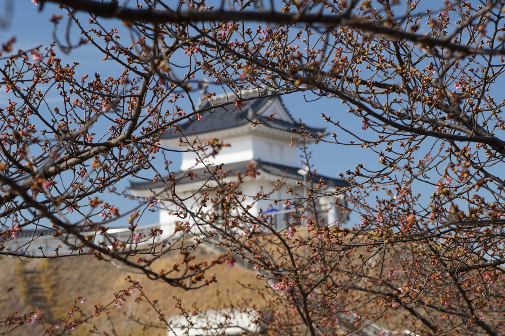 2023年3月1日（水）