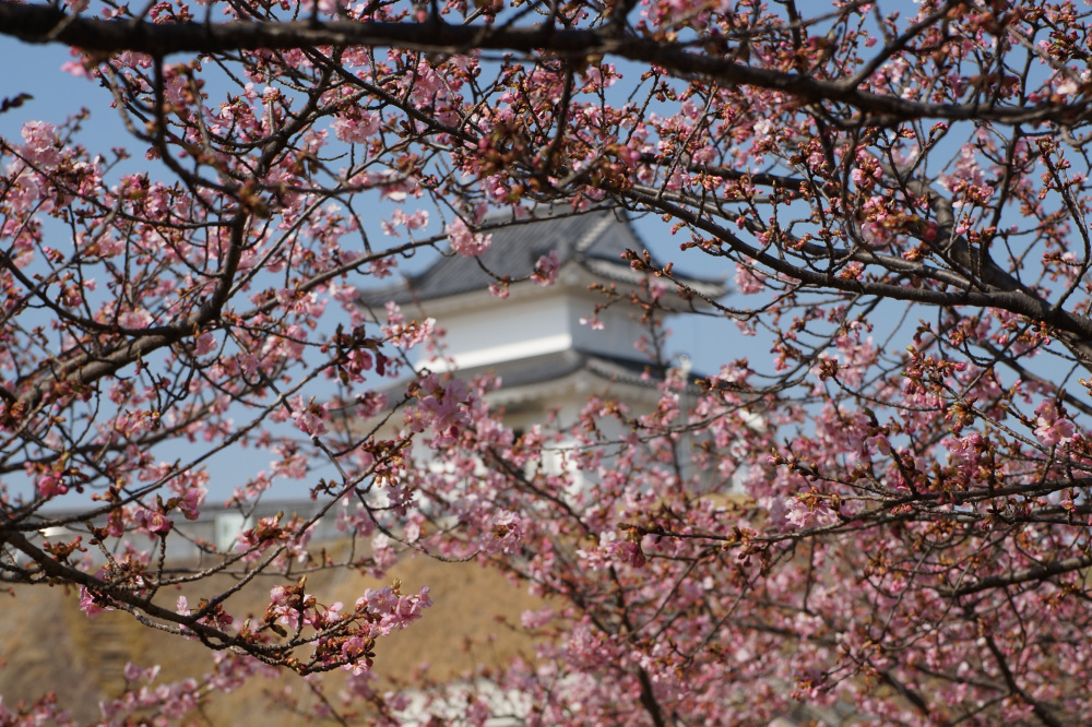 2023年3月8日（水）