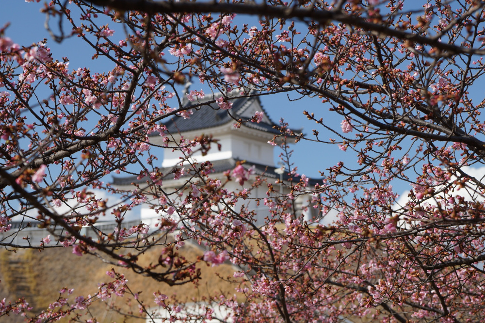 2023年3月6日（月）