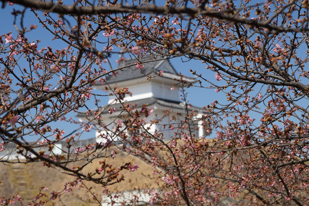 2023年3月4日（土）