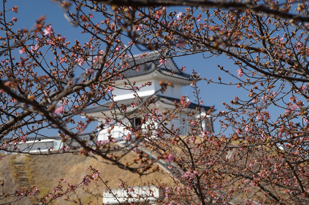 2023年3月3日（金）