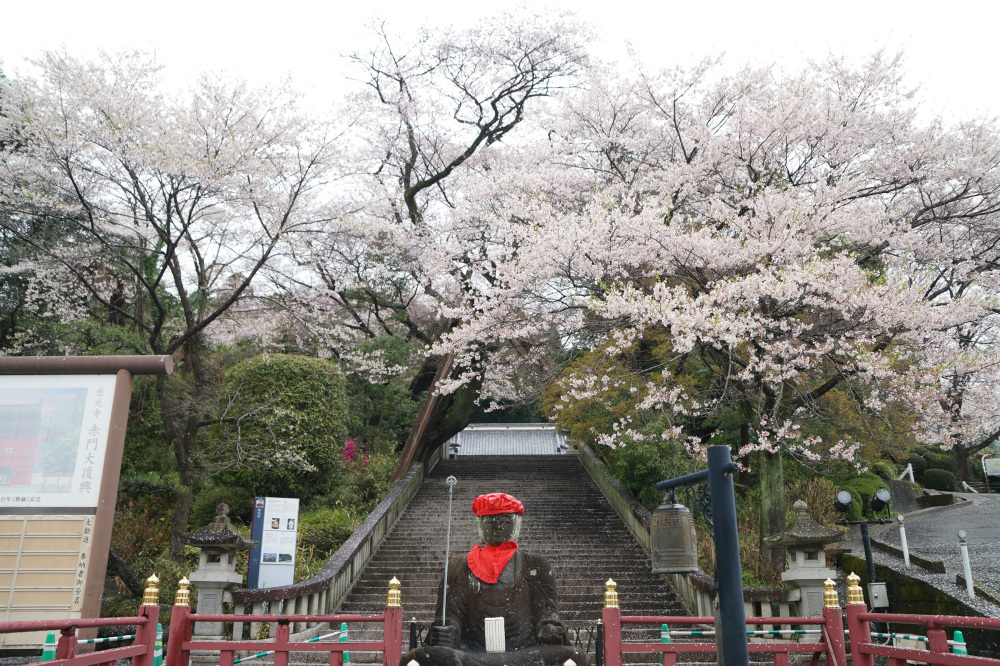 2023年3月25日（土）