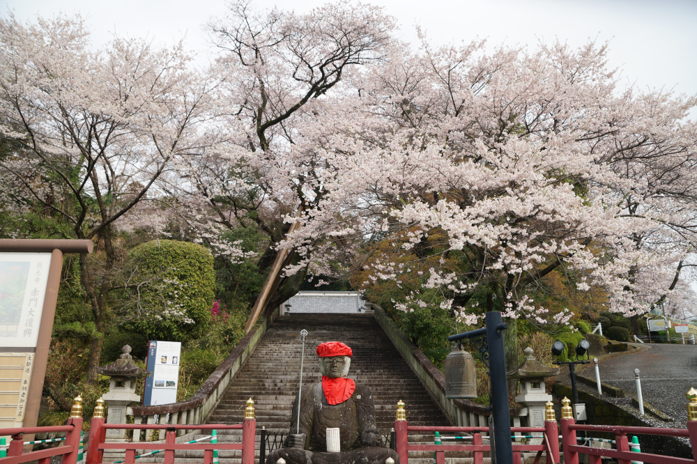 2023年3月24日（金）