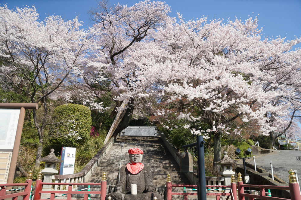 2023年3月22日（水）