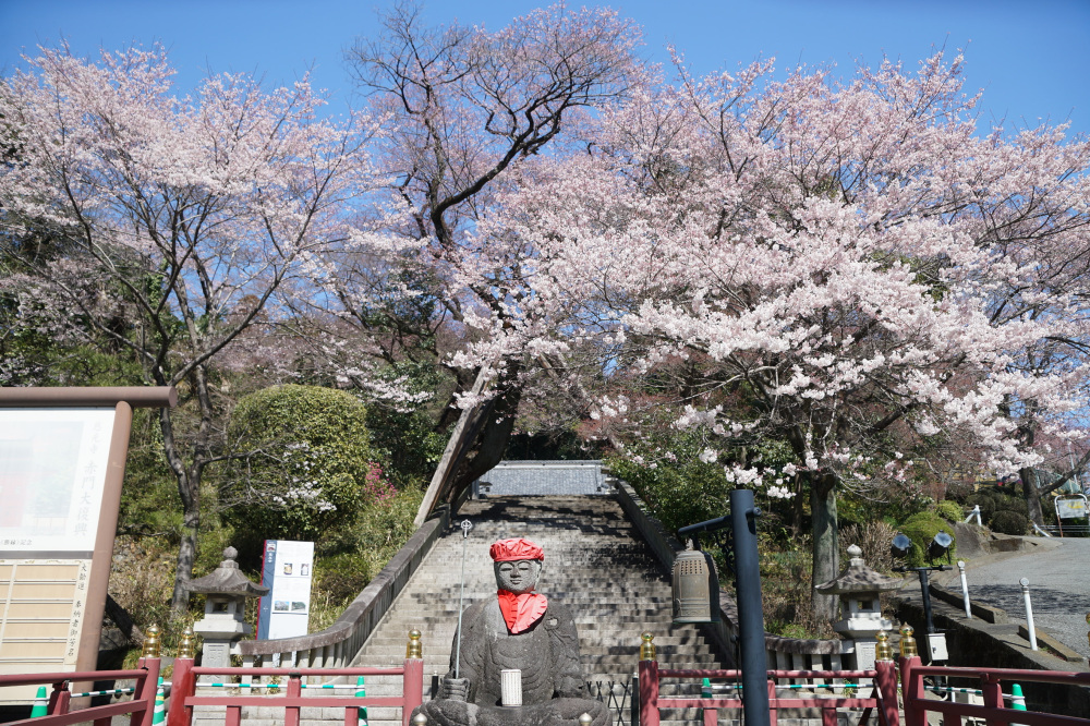 2023年3月20日（月）