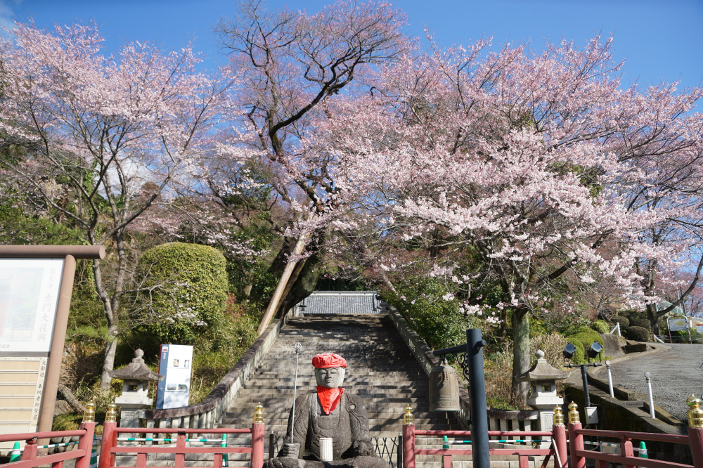 2023年3月19日（日）