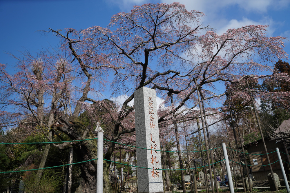 2023年3月19日（日）