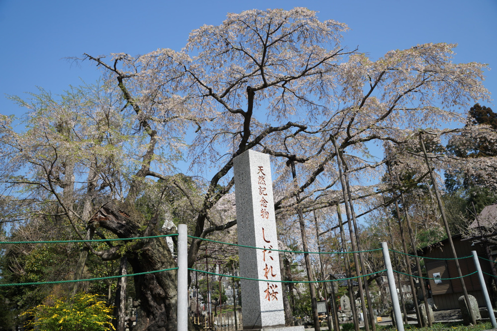 2023年4月1日（土）
