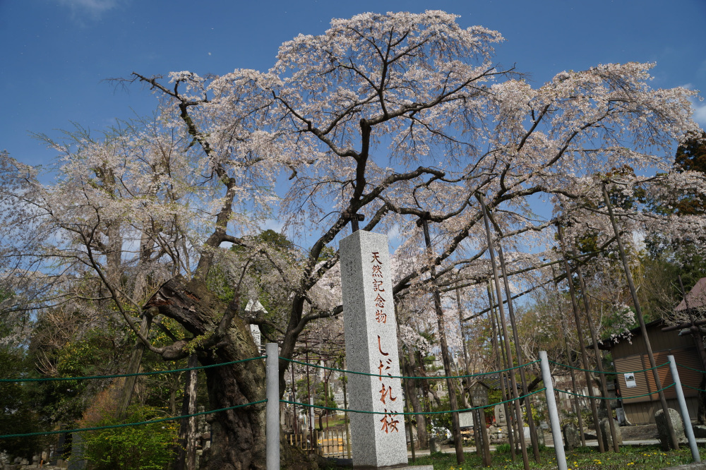 2023年3月30日（木）