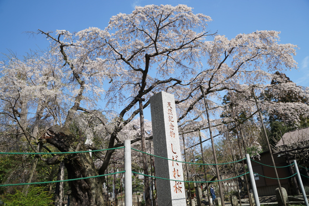 2023年3月29日（水）