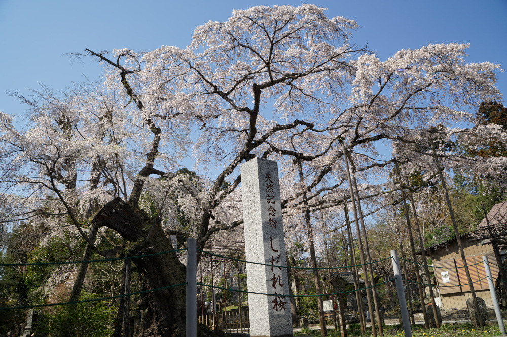 2023年3月28日（火）