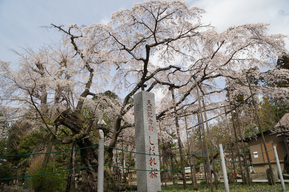 2023年3月27日（月）
