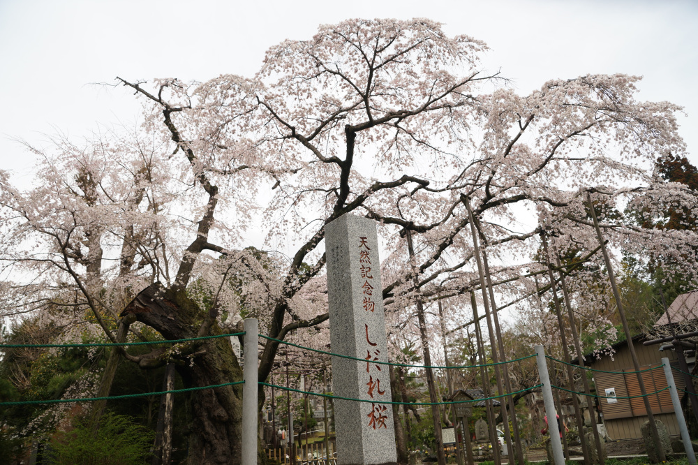 2023年3月24日（金）