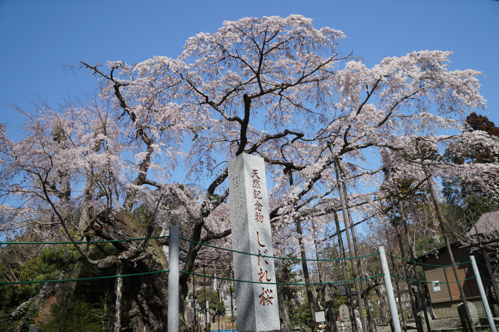 2023年3月22日（水）